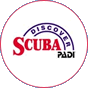 logo_discover
